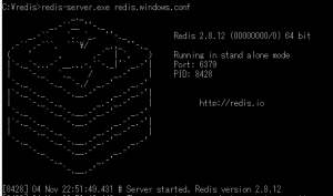booting-redis-server